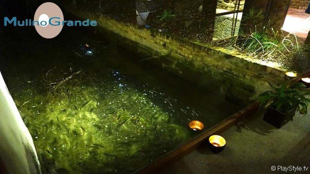 Hotel Mulino Grande Cusago Bagian luar foto